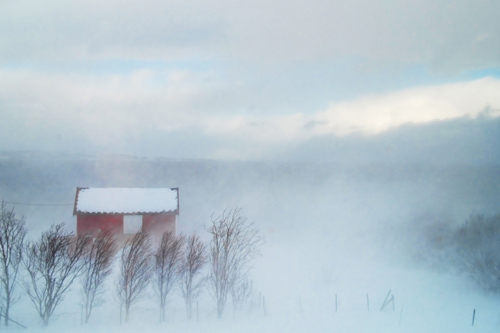 Photo of blizzard taken with Olympus E-500 digital single-lens reflex camera