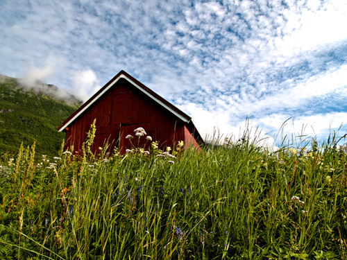 Summer in northern Norway - Photo of boatshed in a meadow