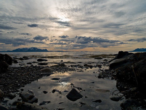 Photo from a warm day on the coast in northern Norway