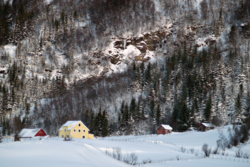 Photo of Norwegian winter landscape in January