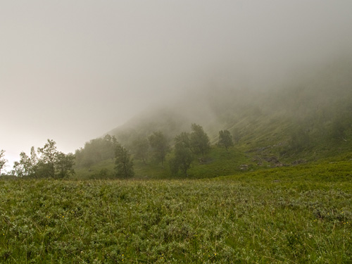 Picture from a mountain trip filled with fog