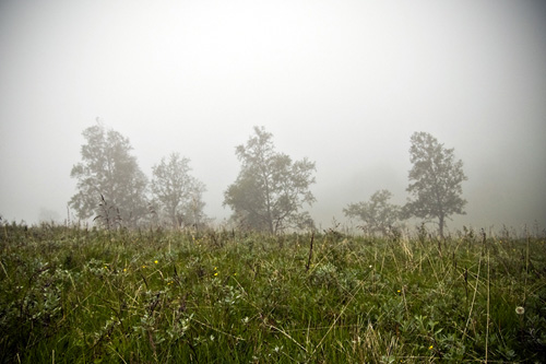 Picture from a mountain trip filled with fog