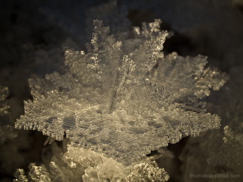 Macro photo of big ice crystal - Cold period in southeastern Norway