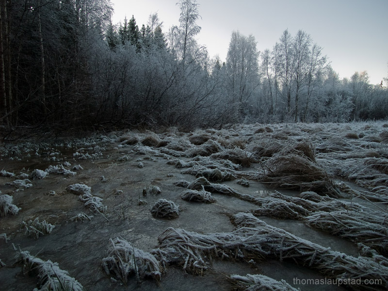 Роскошные пейзажи Норвегии - Страница 3 Frozen_field_rime_forest_800