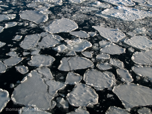 Picture from the Oslofjord, Norway covered with broken ice