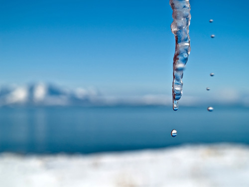 Picture of water dropping from icicles - Sunny day in Northern Norway