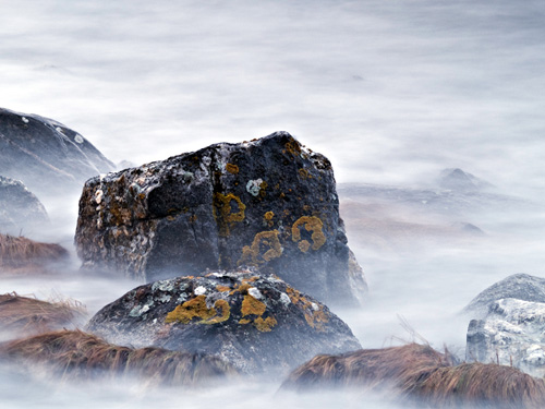 Picture of lichen covered rocks at high tide