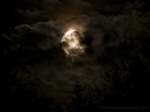 Picture of moon rising over treetops and shining clouds in Southern Norway