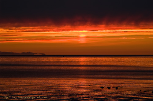 Photo of a red sunset on the coast in northern Norway