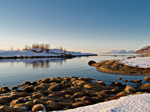 Photo from a winter day at the Norwegian coast filled with sun and snow